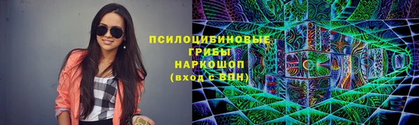 бошки Иннополис