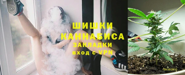бошки Иннополис