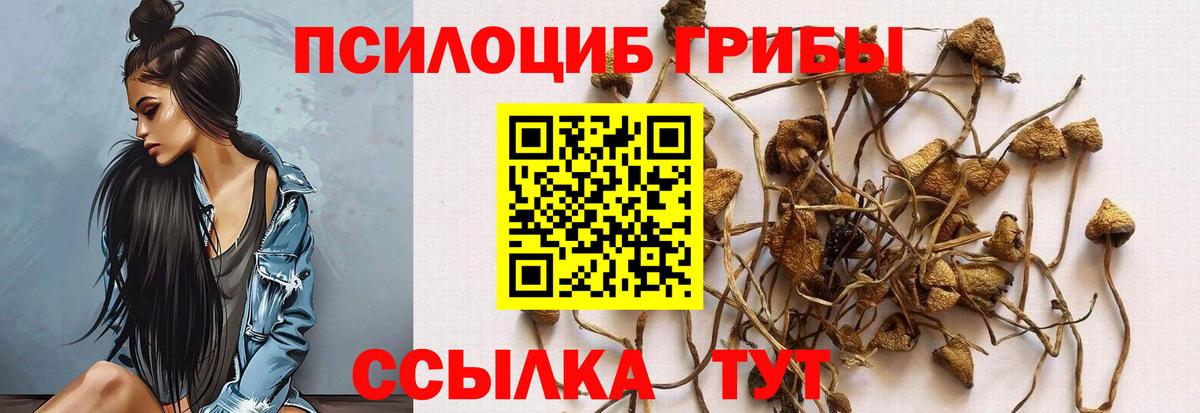 Галлюциногенные грибы GOLDEN TEACHER Кропоткин
