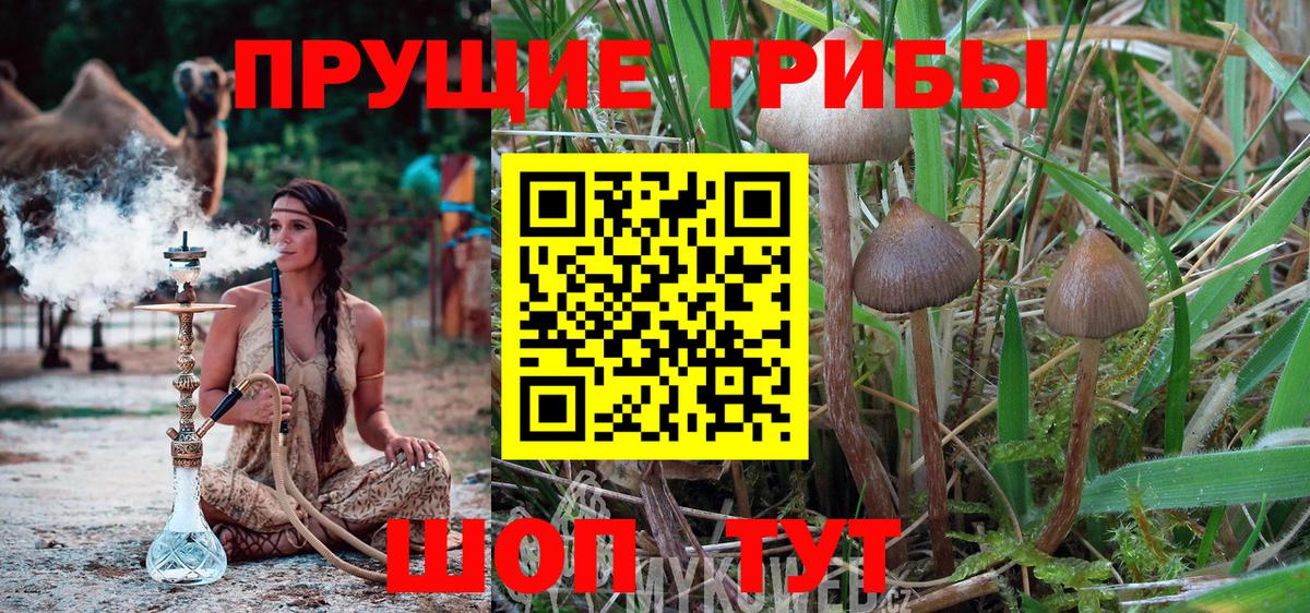 Кропоткин  закладка  Галлюциногенные грибы Cubensis  Вход с VPN  Галлюциногенные грибы мухоморы 